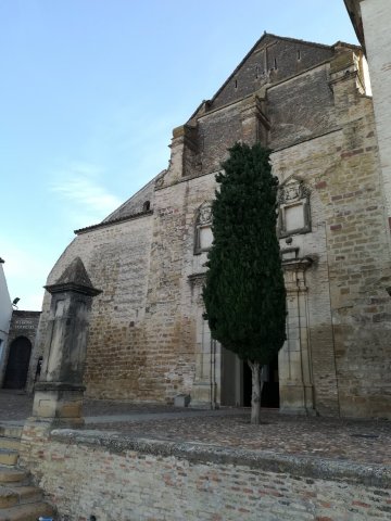 Iglesia Asunción